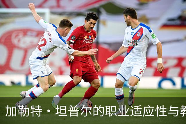 加勒特·坦普尔的职业适应性与教练学习路径